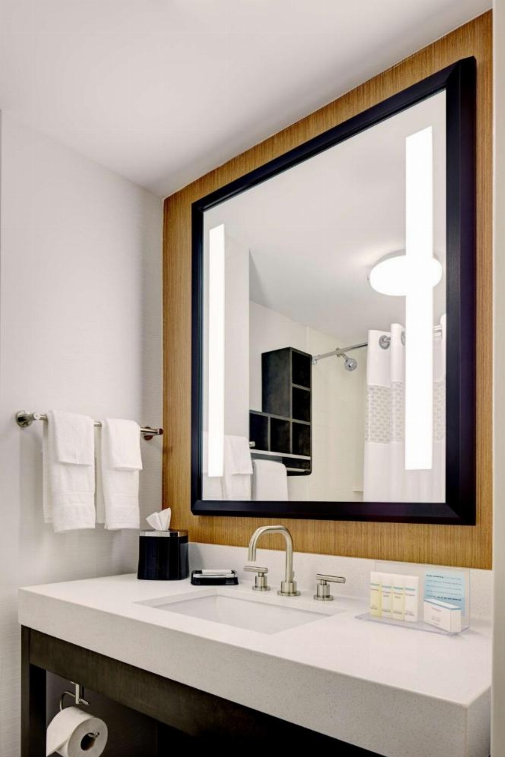 Hampton Inn Brooklyn Downtown Image 16